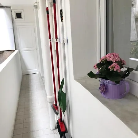 Vintage Apartment